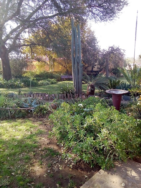 IMG_20190619_135848_3CS