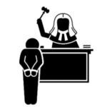 Criminal Litigation